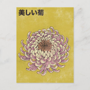 Carte Postale Beau Chrysanthème