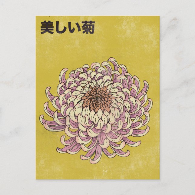 Carte Postale Beau Chrysanthème (Devant)