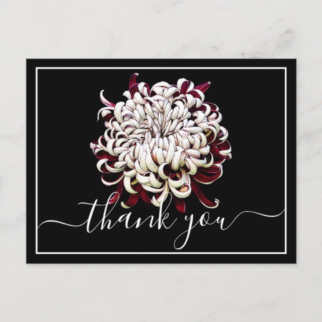 Carte Postale Beau Chrysanthème Rouge Et Blanc Merci (Devant)