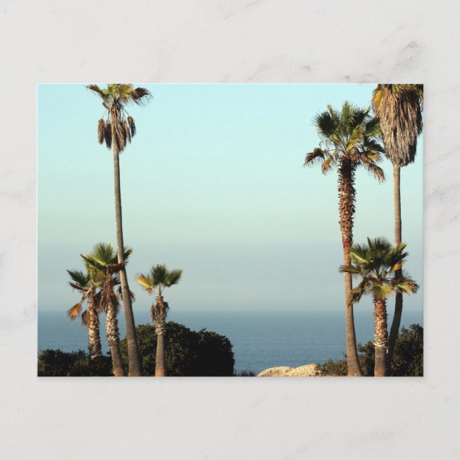 Carte Postale Beau ciel bleu (Devant)