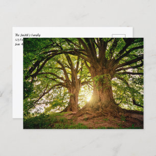 Carte Postale Beau coucher de soleil dans la forêt