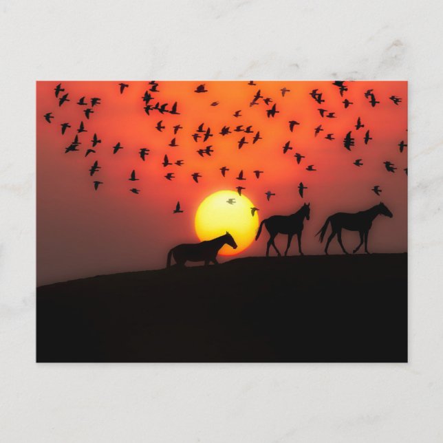 Carte Postale Beau coucher de soleil en silhouette (Devant)