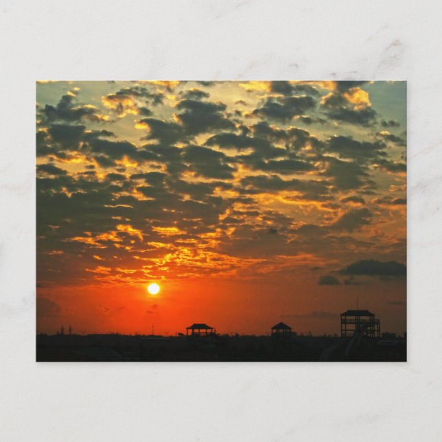Carte Postale Beau coucher de soleil en silhouette (Devant)