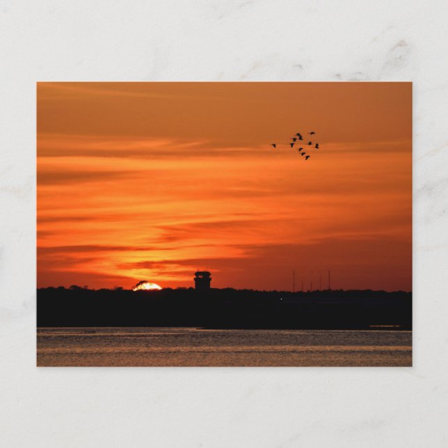 Carte Postale Beau coucher de soleil en silhouette (Devant)