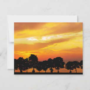 Carte Postale Beau coucher de soleil en silhouette