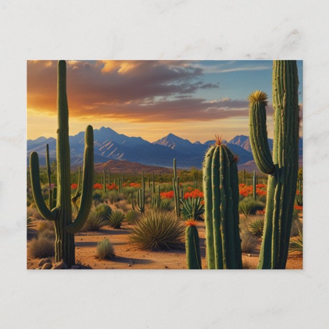 Carte Postale Beau désert de Cactus (Devant)