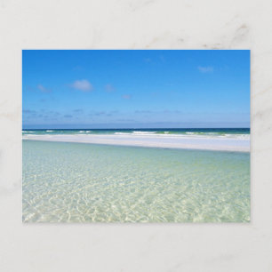 Carte Postale Beau golfe du Mexique