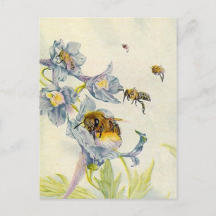 CARTE POSTALE BEAU HONEYABES NATURE BEEKEEPERS HONEY POSTCARDS