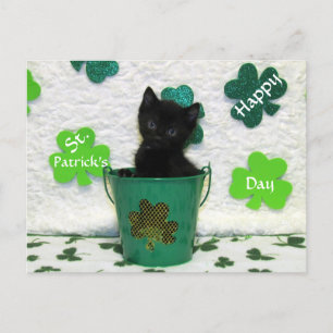 Carte Postale Beau Jack's St. Patrick's Day Chat / Kitten