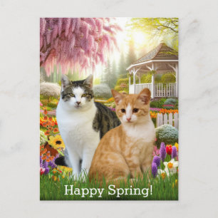 Carte Postale Beau jardin de printemps avec deux chats