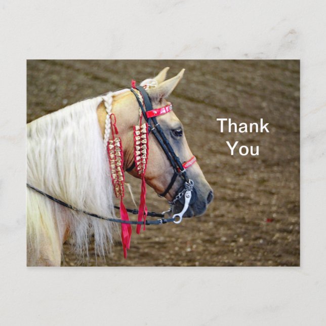 Carte Postale Beau Merci photo Palomino Horse (Devant)