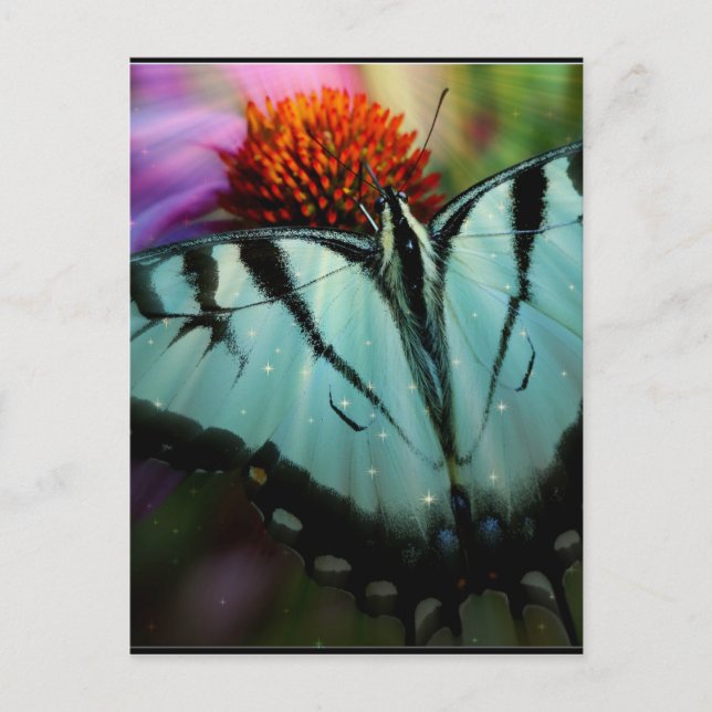 Carte Postale Beau Papillon Turquoise Swallowtail (Devant)