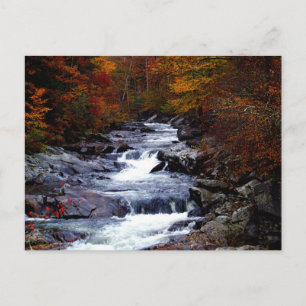 Carte Postale Beau paysage de crique
