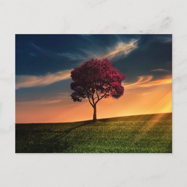 Carte Postale Beau paysage de nature d'arbre (Devant)