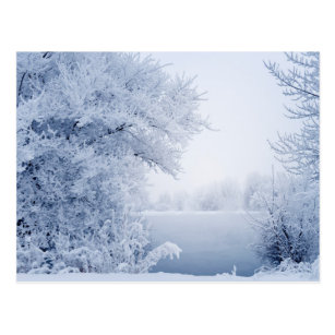 Cartes Postales Paysage Neige Originales Zazzle Fr