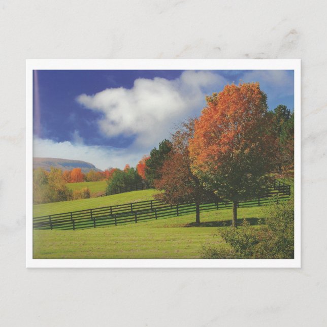 Carte Postale Beau paysage du Canada Niagara : Cadeau BASSE PRIX (Devant)