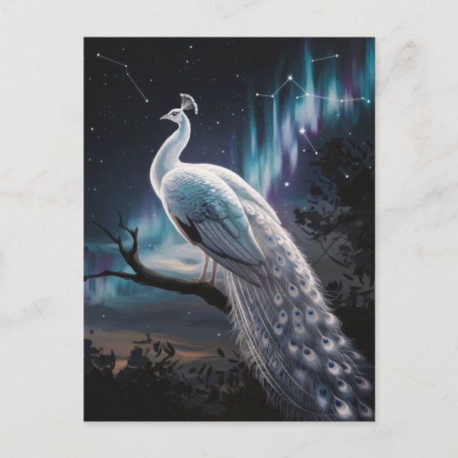 Carte Postale Beau Peacock Blanc Aurora Borealis Pittoresque (Devant)