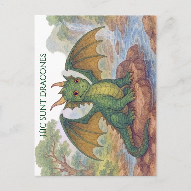 Carte Postale Beau petit dragon vert (Devant)