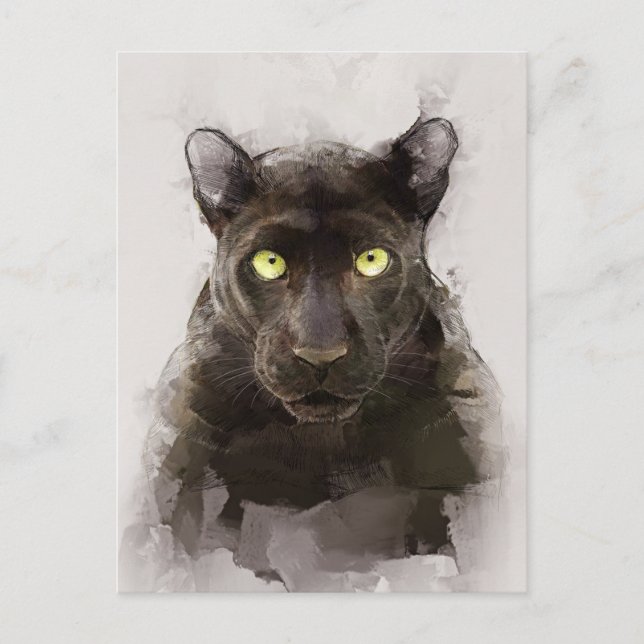 Carte Postale Beau Portrait Panther (Devant)