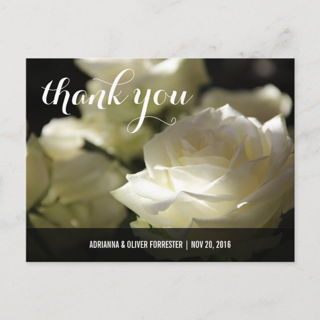 Carte Postale Beau romantique Rose blanche Mariage Merci (Devant)