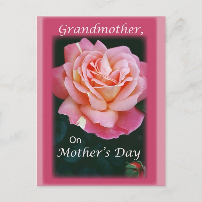 Carte Postale Beau Rose (Devant)