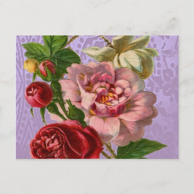 Carte Postale Beau Rose coloré (Devant)