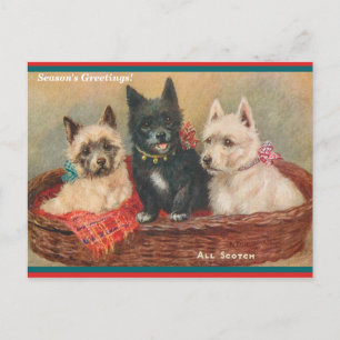 Carte Postale Beau Scottie Chiens Vintage Painting Holiday
