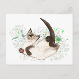 Carte Postale Beau Siamese Cat cadeaux et accessoires