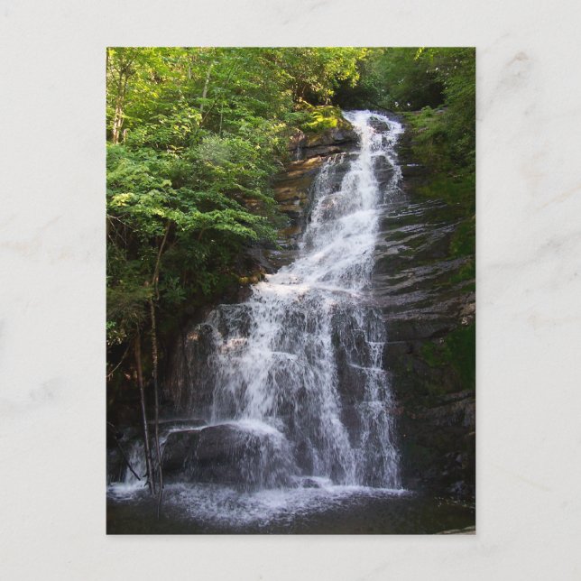 Carte Postale Beau Tennessee (Devant)