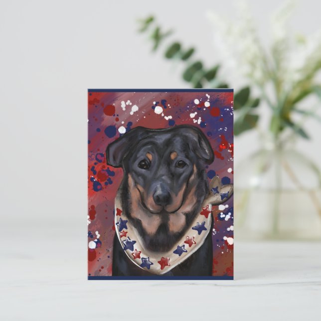 Carte Postale Beauceron (Debout devant)