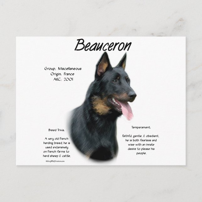 Carte Postale Beauceron History; Tout sur Beauceron (Devant)
