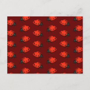Carte Postale Beaucoup De Ladybugs
