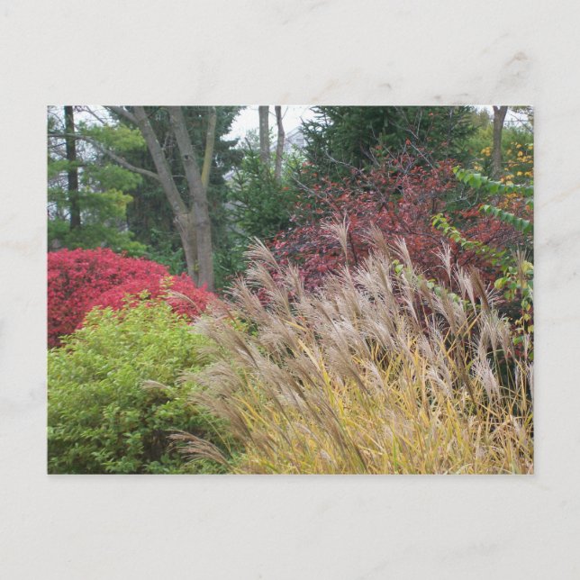 Carte Postale Beauté d'automne en Ohio (Devant)