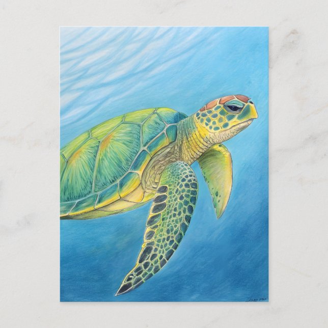 Carte Postale Beauté de la tortue (Devant)