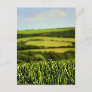 Carte Postale Beauté de la vie