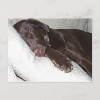 Carte Postale Beauté dormante