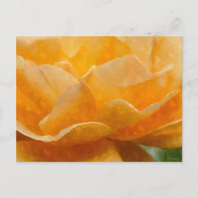 Carte Postale Beauté D'Un Rose (Devant)
