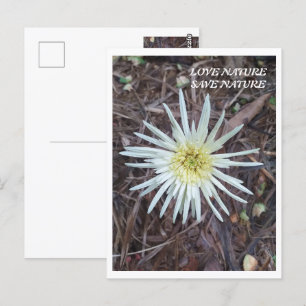 CARTE POSTALE BEAUTÉ FLEURIÈRE POUR LA NATURE AMATEUR CADEAU