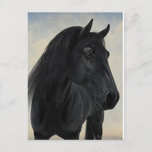 Carte Postale Beauté noire - Portrait de Cheval friésien noir