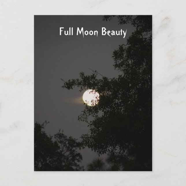 Carte Postale Beauté Pleine lune (Devant)