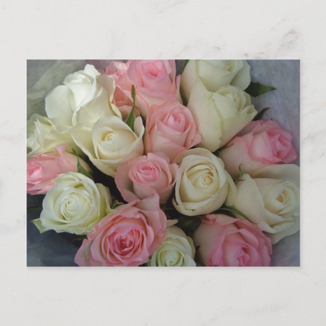 Carte Postale Beautiful Pink White Roses Flower Bouquet (Devant)