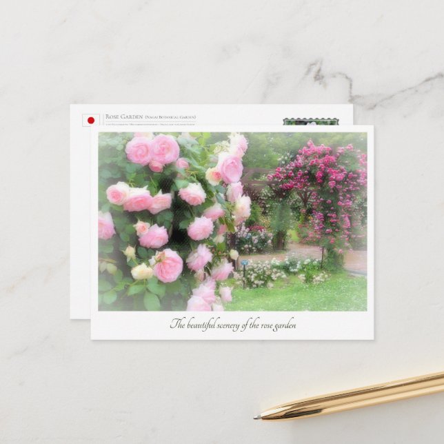 Carte Postale Beautiful Rose Garden (Devant/Arrière en situation)