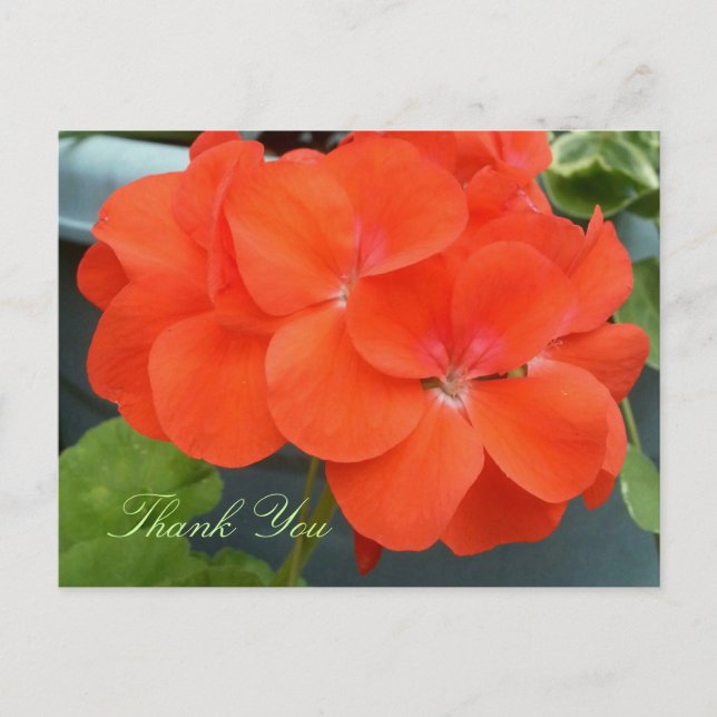 Carte Postale Beautiful Thank You Post-Card (Devant)