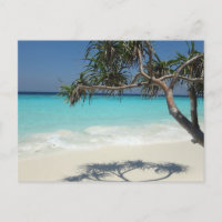 Beautiful Tropical Beach
