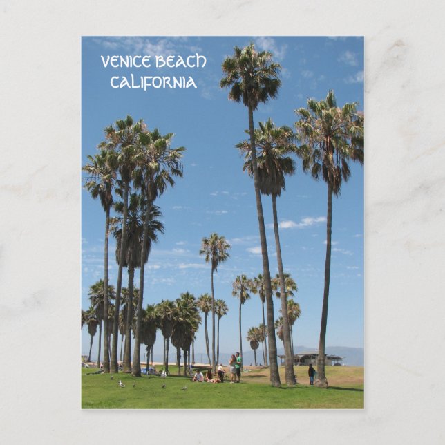 Carte Postale Beautiful Venice Beach Postcard ! (Devant)