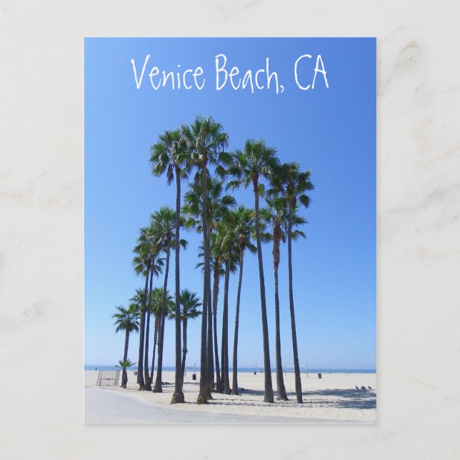Carte Postale Beautiful Venice Beach Postcard ! (Devant)