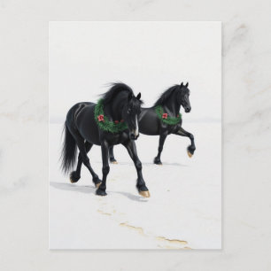 Carte Postale Beaux Chevaux Noirs Hiver Neige Noël