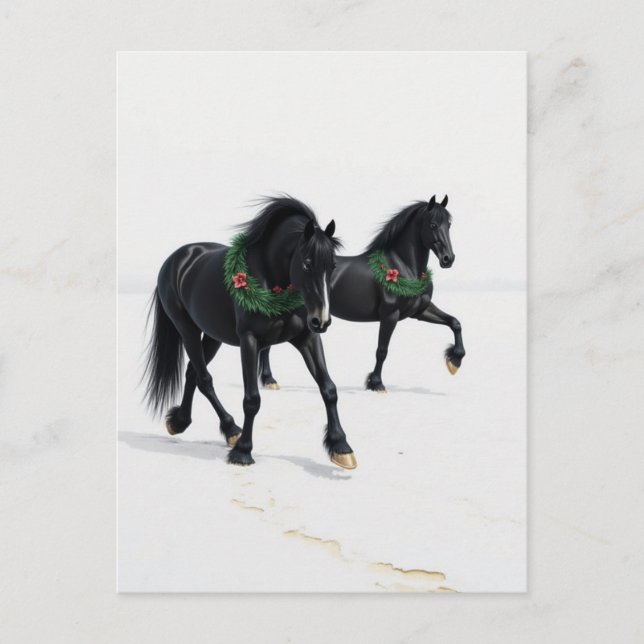 Carte Postale Beaux Chevaux Noirs Hiver Neige Noël (Devant)