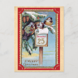 Carte Postale Beaux oiseaux Vintages Joyeux Noël