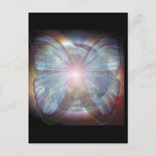 Carte Postale Beaux papillons (Devant)